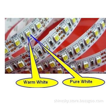 SMD 3528 Dimmable warm white and white Led Strip
